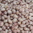 Ali Mohammadi Brothers Sorting, wholesale sale of Pakistani beans and rice in Arak