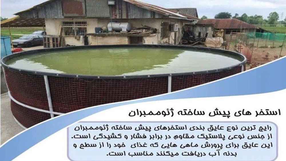Gilan'da balık yetiştiriciliği