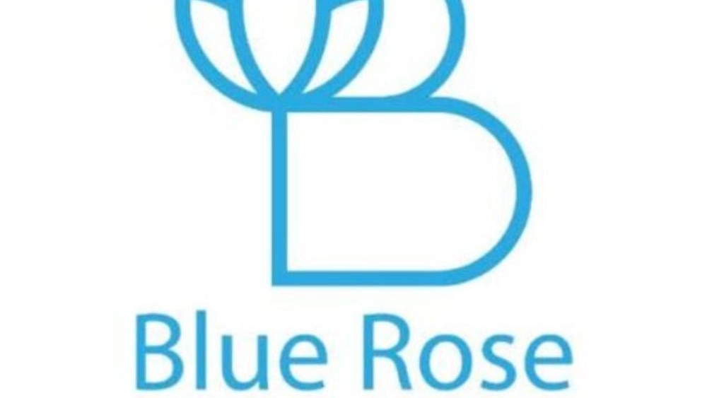 Blue Rose Blend, Production of Medical and Spring Sleep in Arak