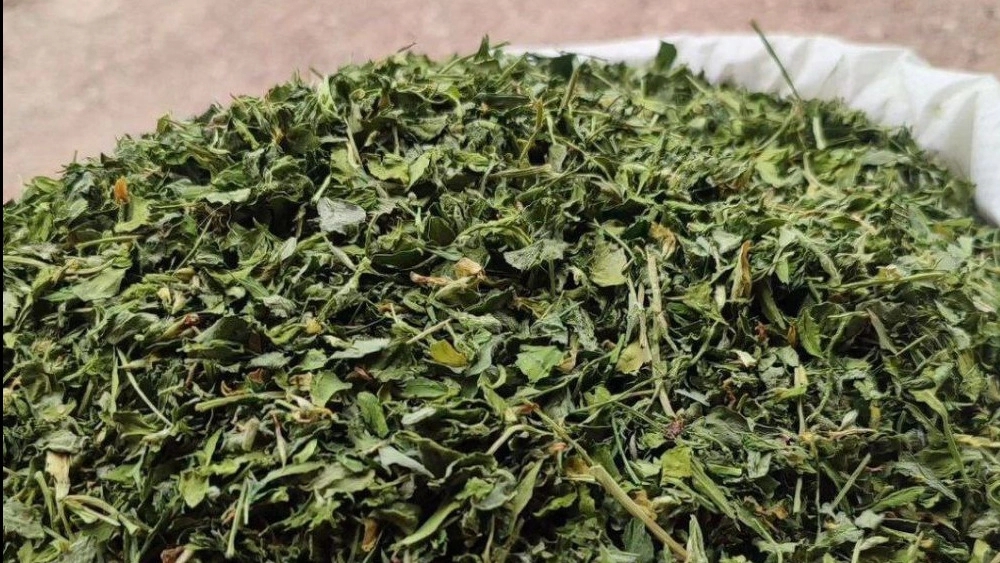Rose Gol store, wholesale sale and distribution of dried vegetables in Shiraz