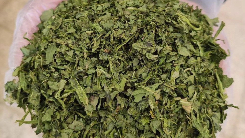 Selling all kinds of dried vegetables in Shiraz