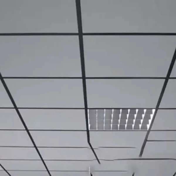 1732346890086.webp