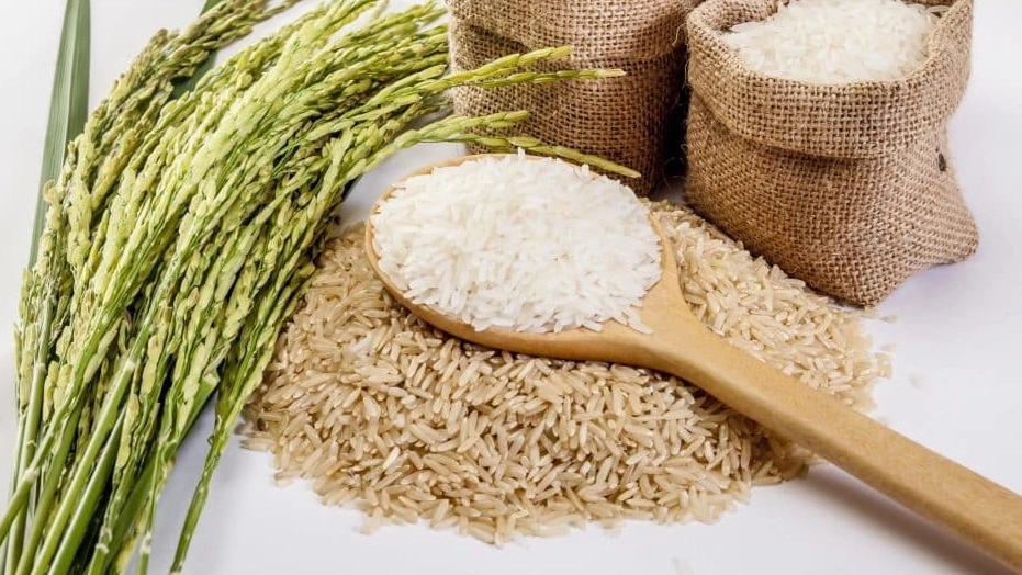 Rice sorting in Mahmudabad