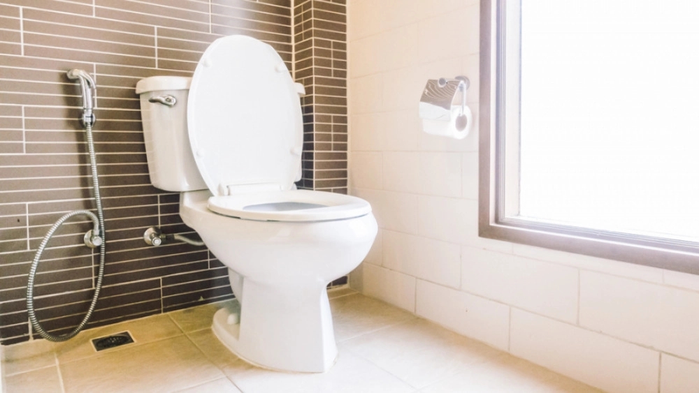Types of toilets Sina Kashi Borujerd