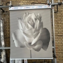 Deniz manufacturing factory, production and sales of zebra dk curtains and printing in Tehran
