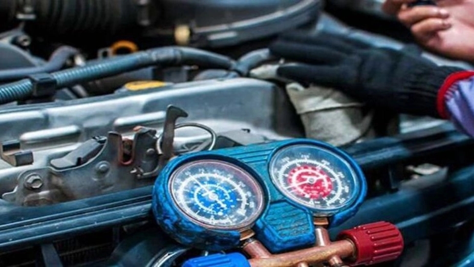King Sport Workers, Automotive Decoration and Cooler Charging in Yazd
