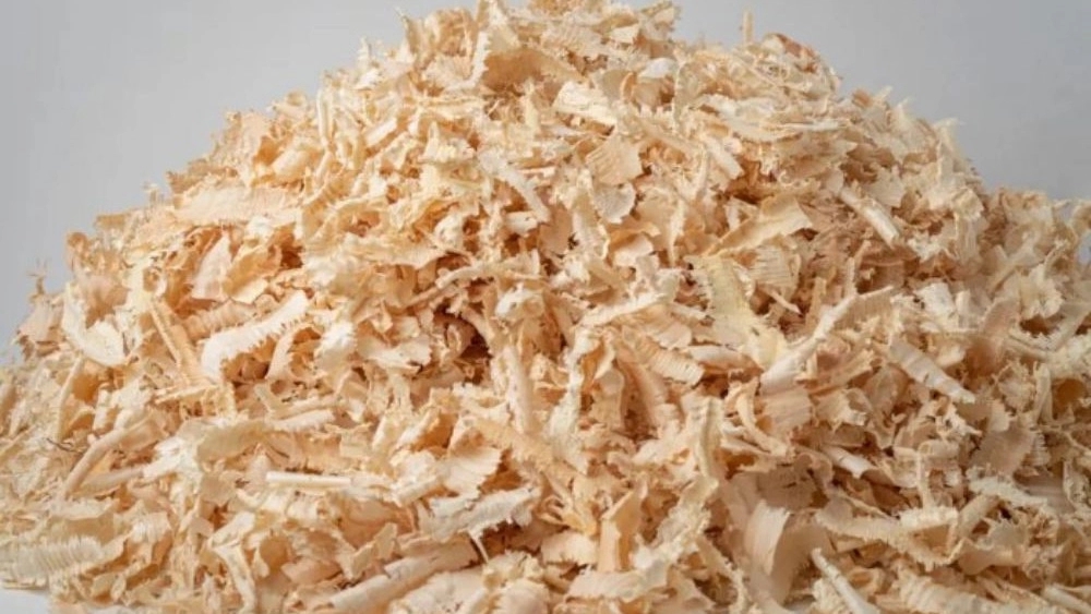 Nawrah Arwa Poultry, Production and Sale of Russian Wood Poard in Juabar Mazandaran
