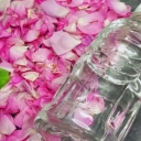 Azerbaijan Home Rose, Production and Sale of Home Rose Households in Urmia