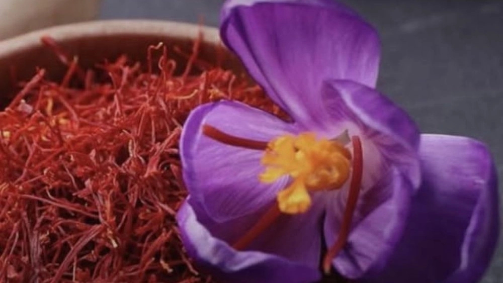 Avan Zarrin International Company, Distribution and Sales of Original Saffron in Tehran