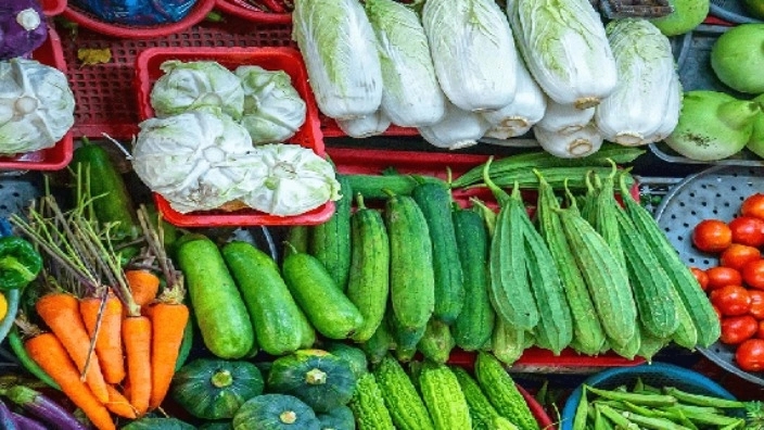 Kimia Din Company, Specialist in Tabriz Vegetable Onion Seeds and Seed Production