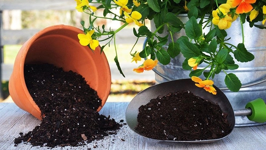 Dambery Shop, Sale of Garden Garden and Fertilizer and Sand Sand in Tehran