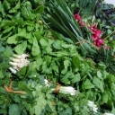 Radish store, selling ready pickled vegetables, homemade jam in Hashtgerd, Karaj