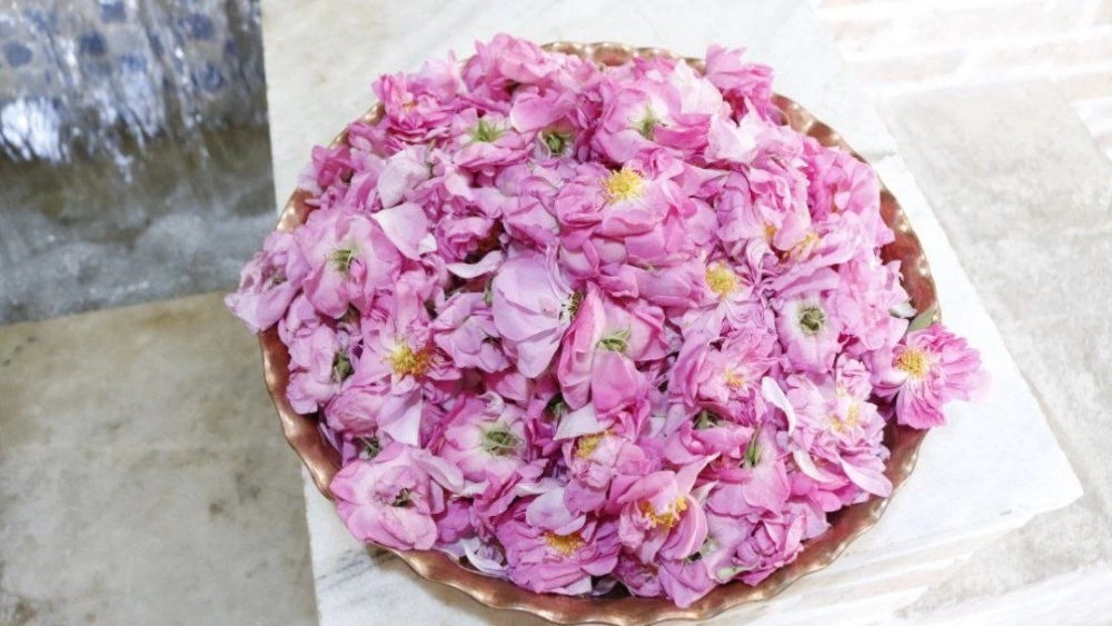 Iranian rose water, production and sale of export rose water and prepared syrup in Kashan