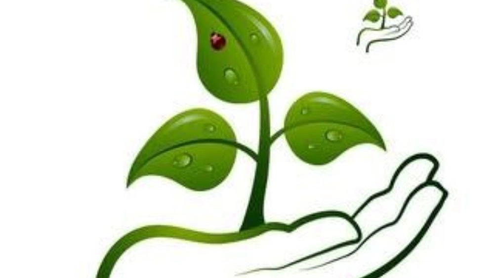Nahalestan Etemad, production and sale of fruitful and ornamental seedlings in Golestan