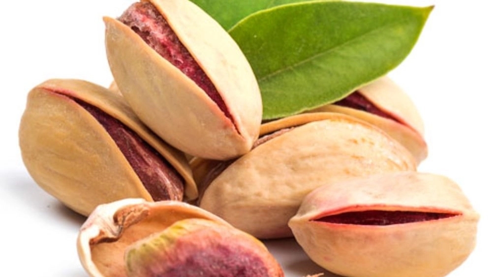 Arkam company, selling pistachios and derivatives in Mashhad