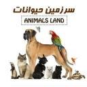Animal land store, selling pet and bird supplies and equipment in Qazvin