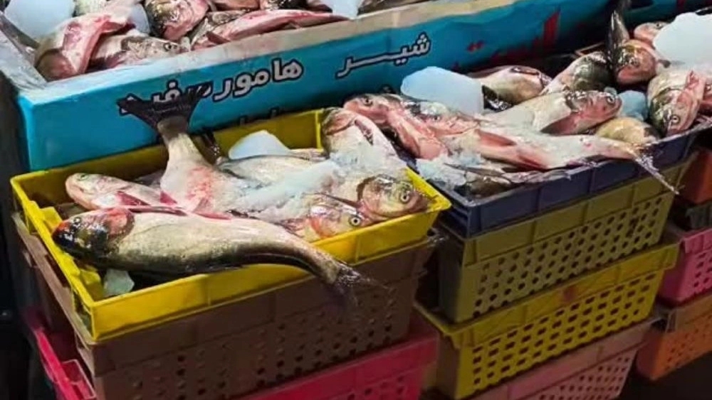 Tek Darya Fish House, selling all kinds of salted carp and lion fish in Kashan