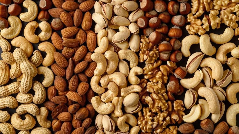 Meze Bar Elixir Company, selling and distributing dried fruits and nuts in Tehran