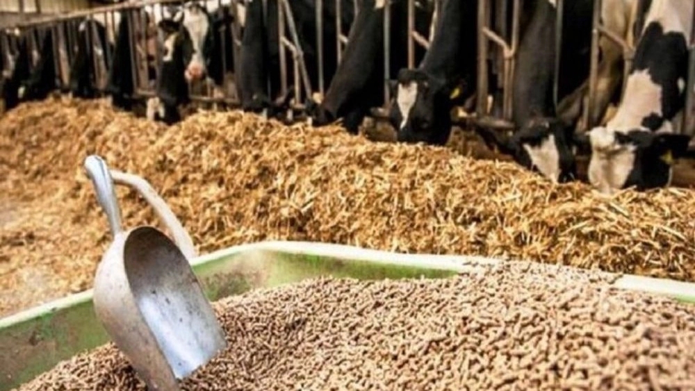 Behzadi store, sale and distribution of livestock and agricultural inputs in Barazjan
