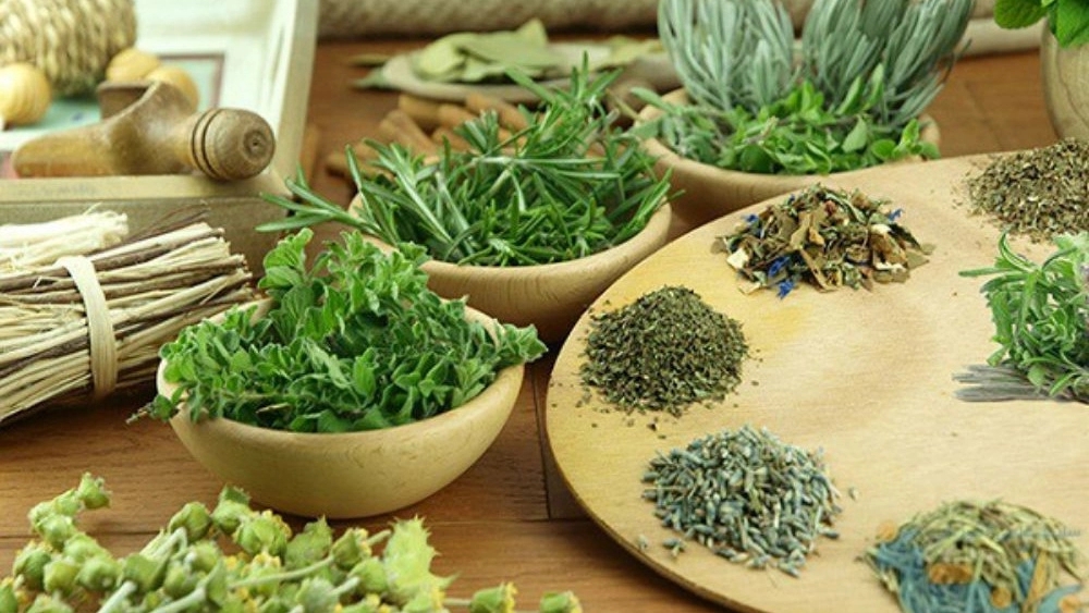 Anahita Coriander, production and supply of medicinal plant in Karaj