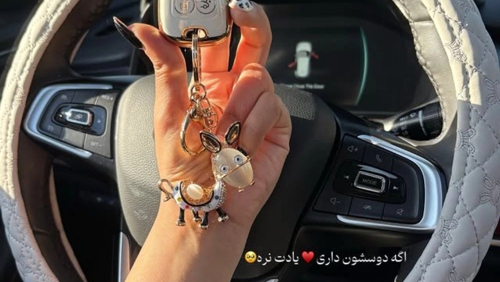 Switchek accessory store, selling Jasoichi steering wheel and switch cover in Tehran