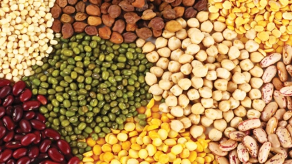 Rostami trading, export and import of beans in Shiraz