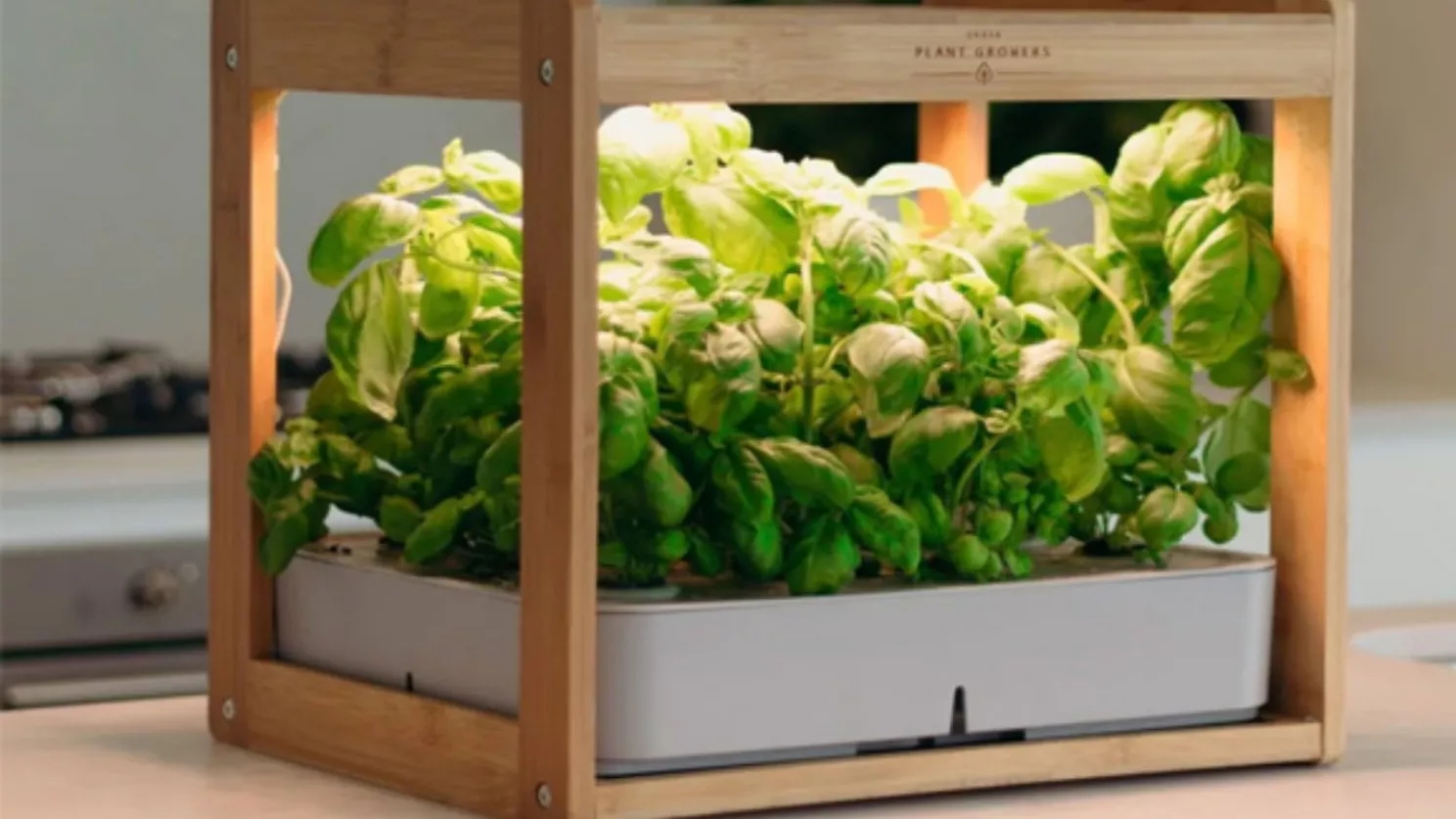 Ev bitkileri için yapay ışık