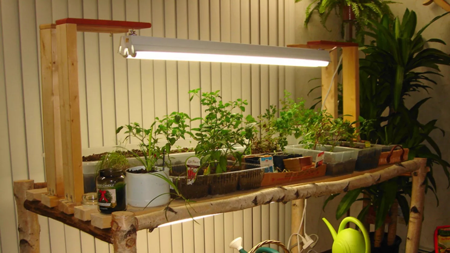 نور مصنوعی برای گیاه آپارتمانی