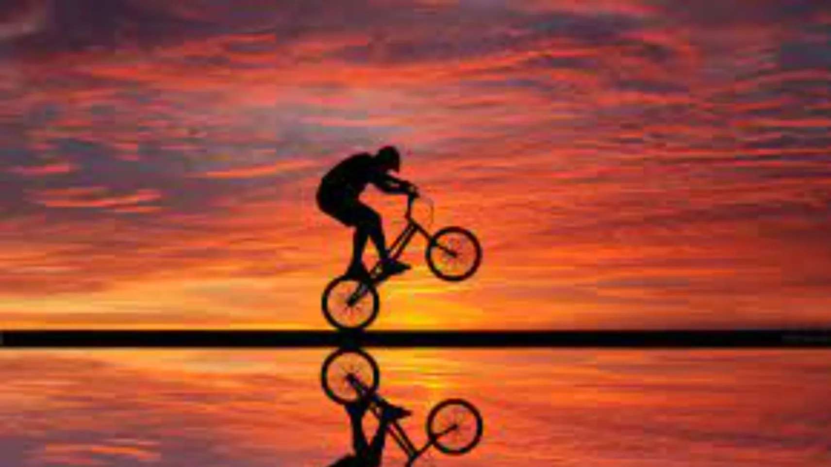 Sadeghi bicycle shop