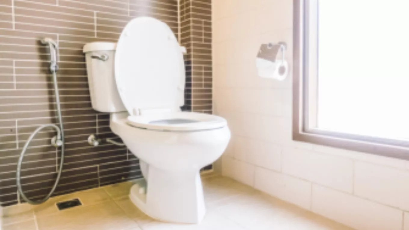 What is a toilet and what is its use?