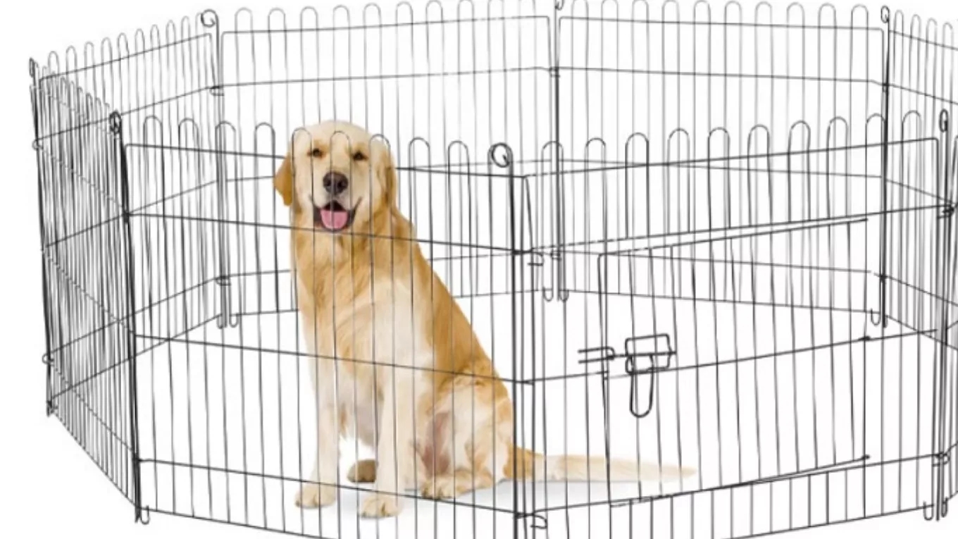 Köpek parkı ve çeşitleri