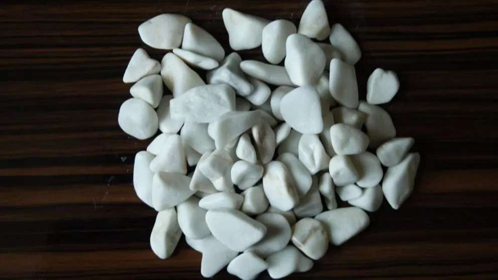 Masoumi Development Co