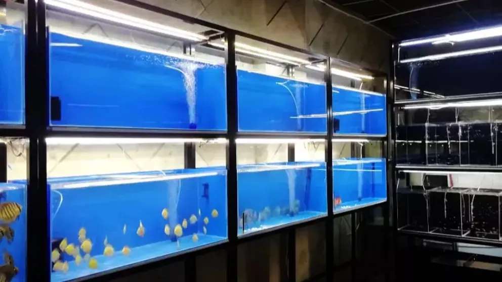Blue Ocean Aquarium Store
