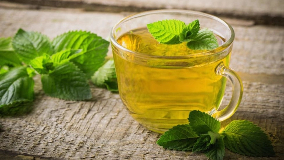 انواع دمنوش و خواص آنها