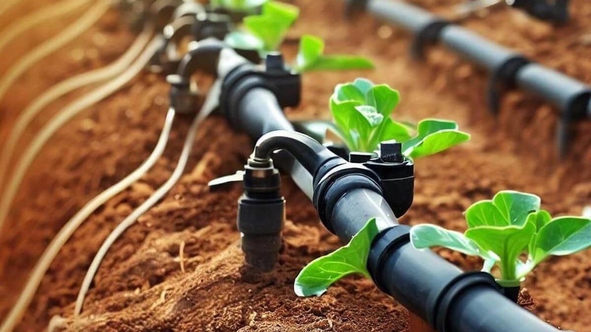 مزایای تجهیزات آبیاری قطره ای