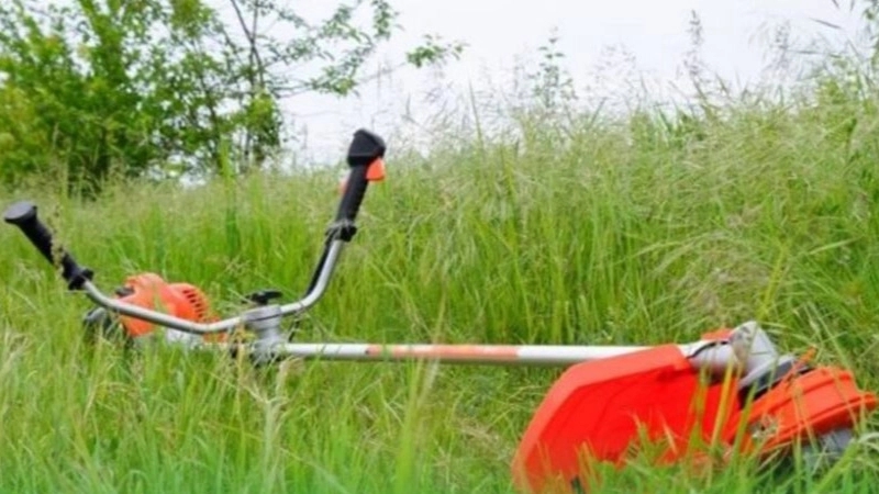 Çim arızasının yaygın nedenleri