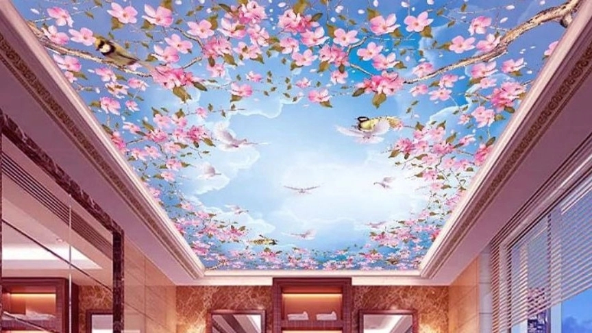 What spaces is the stretch ceiling suitable for?