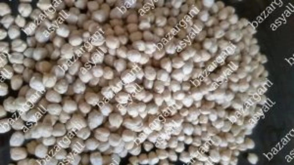 فروش نخود دوخان کرمانشاه