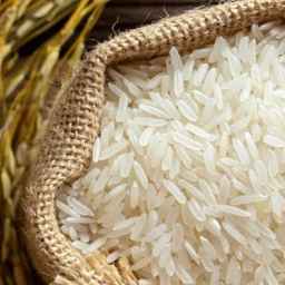 Alavi rice sorting business