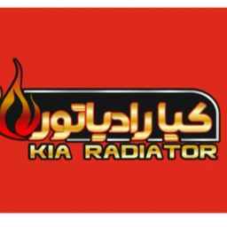 Kia Radiator